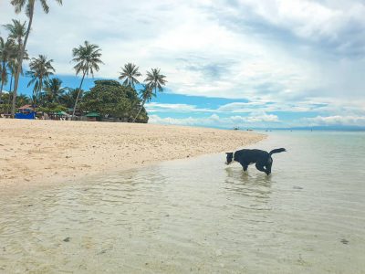 Lambug beach